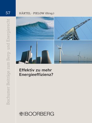 cover image of Effektiv zu mehr Energieeffizienz?